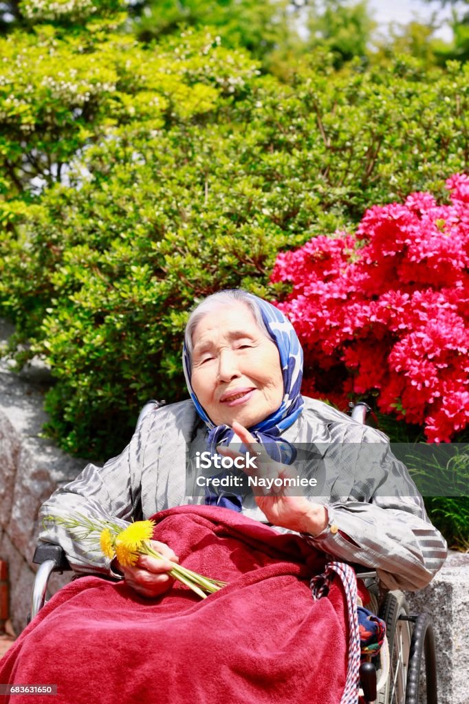봄맞이 공원 산책
